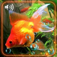 Descarga de la aplicación Peces Oro Mejor Fondos Pantalla Animados 2023 - Gratis - 9Apps Descarga de la aplicación Peces Oro Mejor Fondos Pantalla Animados 2023 - Gratis - 9Apps